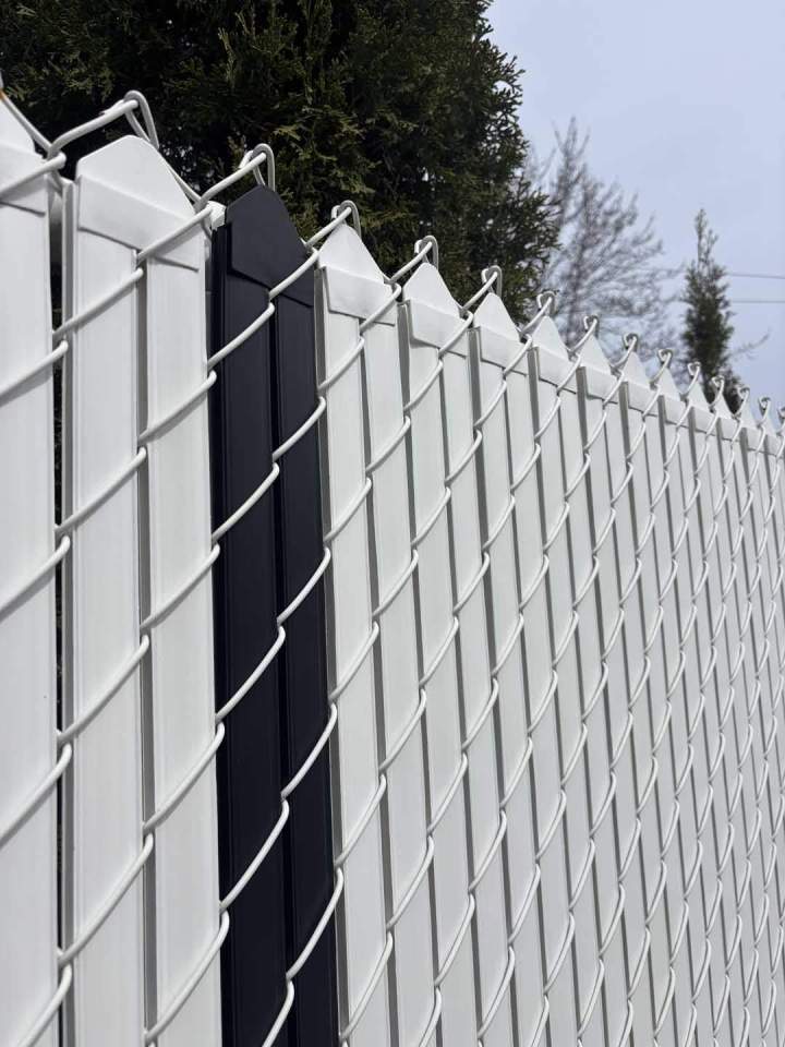 Lattes Intimité Montréal